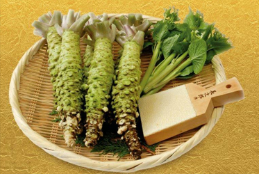 《遺落山谷間的綠株》