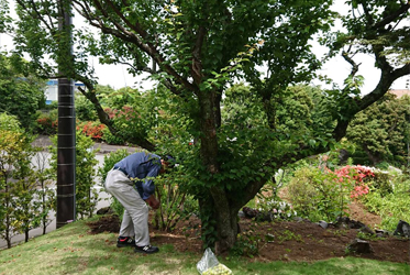 《生活中的小美好》