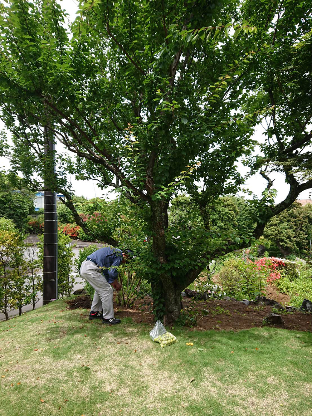 生活中的小美好