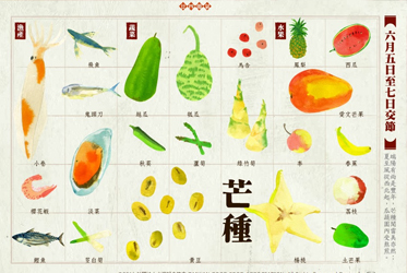 【跟著節氣過生活 芒種】