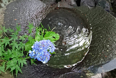 《ABBA坐漁莊裡的一境一天堂》