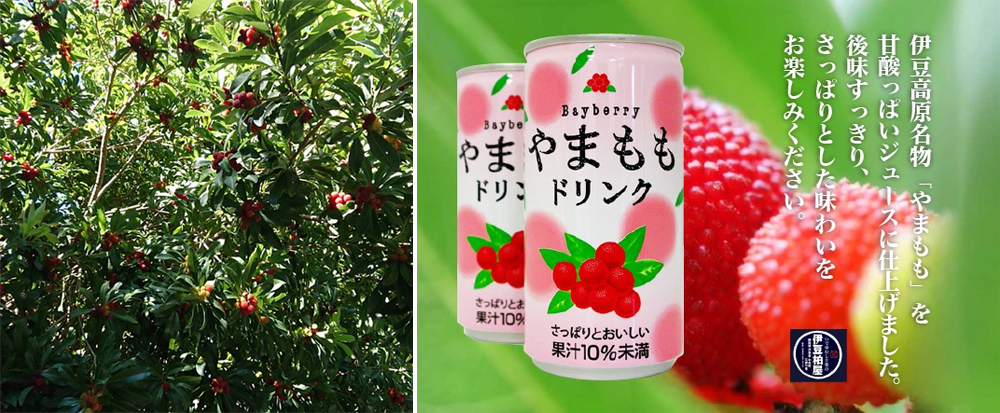 矢田爺爺的季節報報