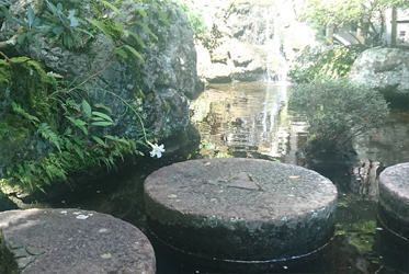 《ABBA坐漁莊裡的一境一天堂》