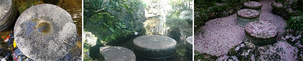 ABBA坐漁莊裡的一境一天堂