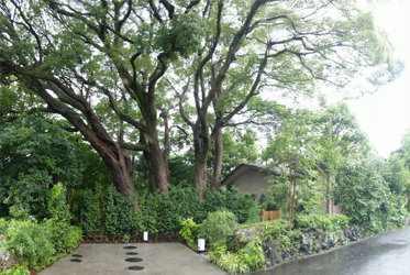 《ABBA坐漁莊的一境一天堂》