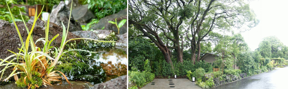 ABBA坐漁莊的一境一天堂