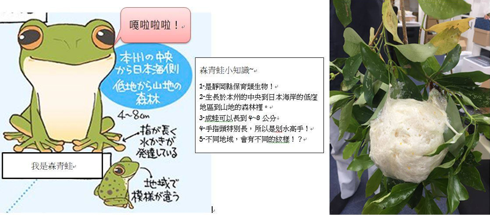 《ABBA坐漁莊之大自然教室》森青蛙