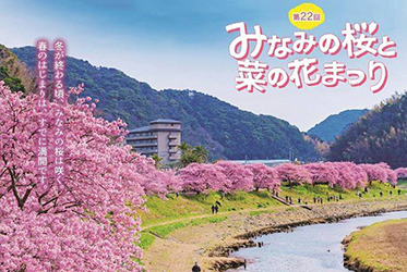 2020河津櫻花季時程海報釋出了！