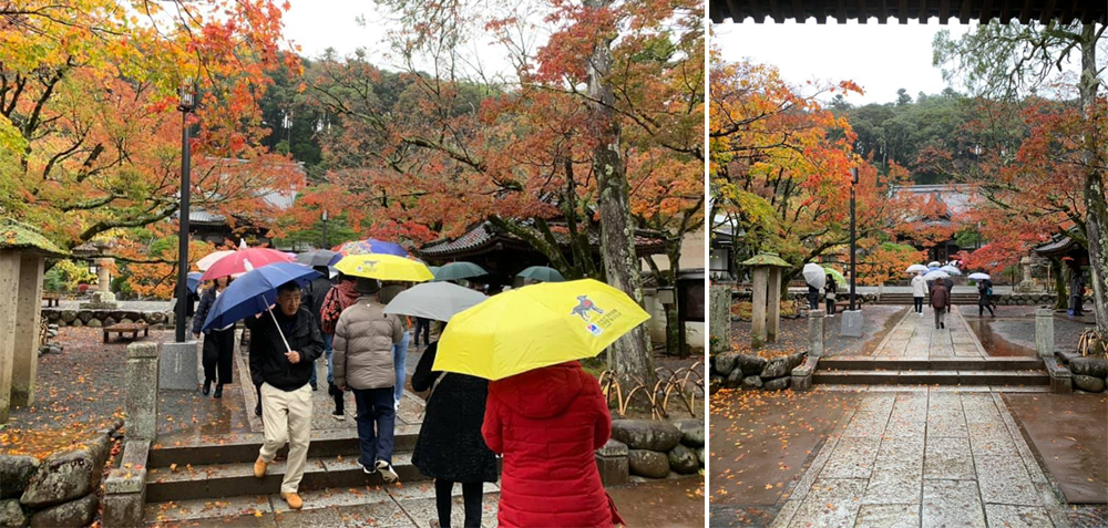 謝謝許悔之老師到ABBA坐漁莊用餐