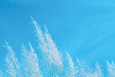 【跟著節氣過生活 小寒】