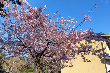 春天來坐漁莊，帶上一本書吧！
