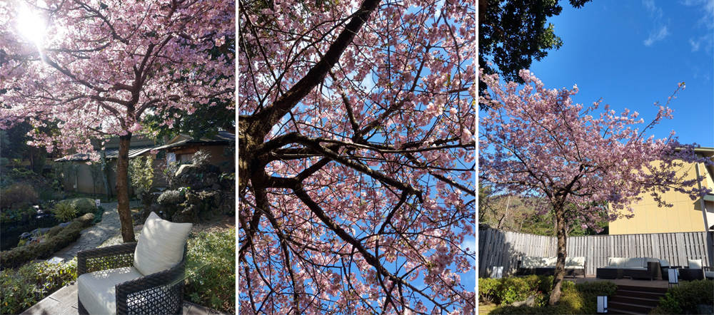 春天來坐漁莊，帶上一本書吧！