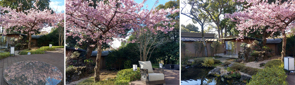 春天來坐漁莊，帶上一本書吧！