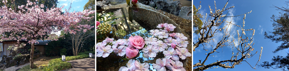 春天來坐漁莊，帶上一本書吧！