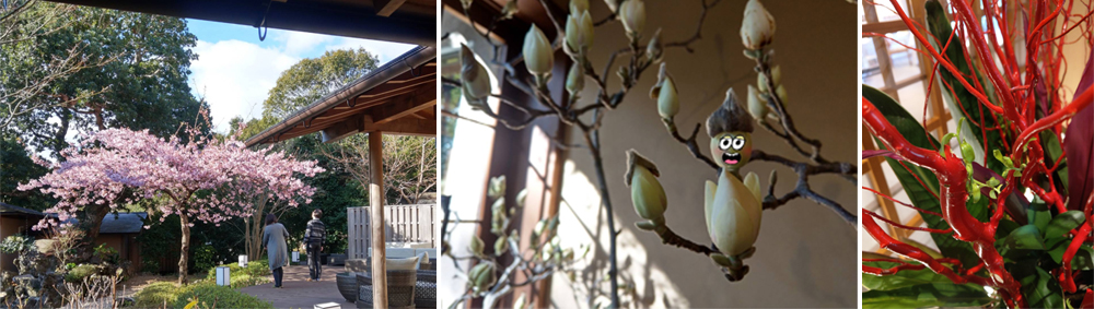 春天來坐漁莊，帶上一本書吧！