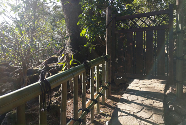 〈文化大使〉日本庭園的竹籬文化