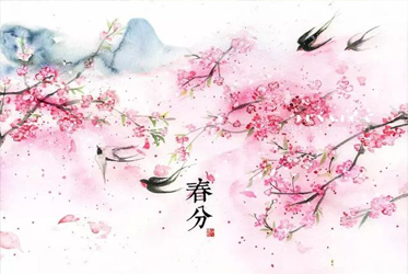 【跟著節氣過生活 春分】