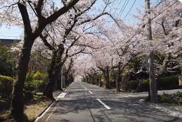 thanks a lot, Mr Itoh