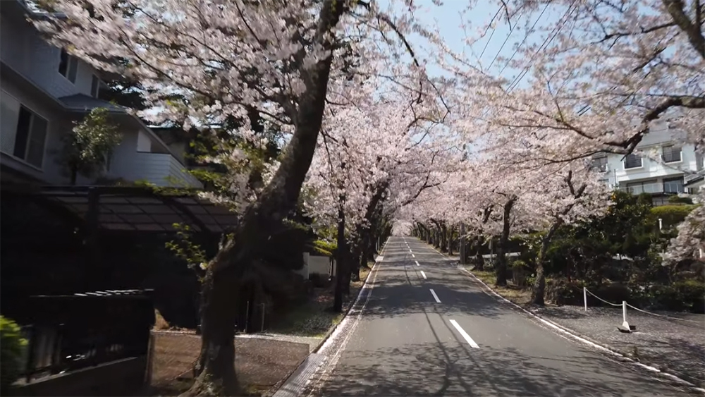 thanks a lot, Mr Itoh