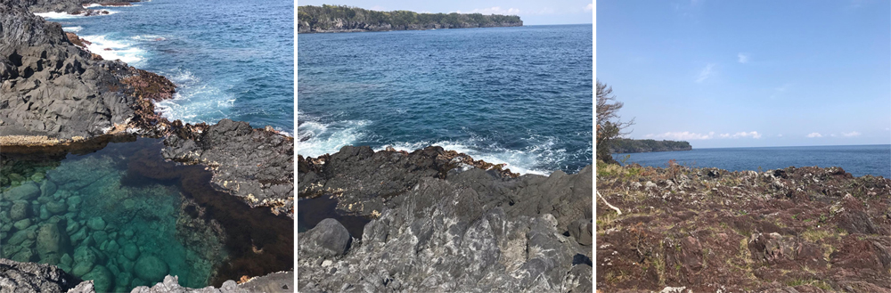 新冠疫情時還可以做什麼