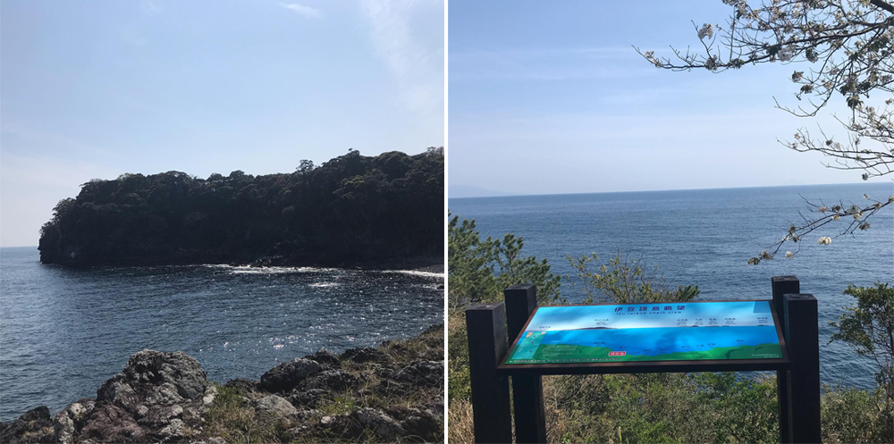 新冠疫情時還可以做什麼