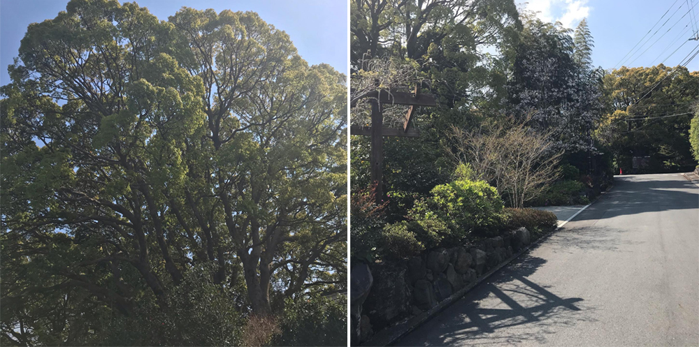 新冠疫情時還可以做什麼