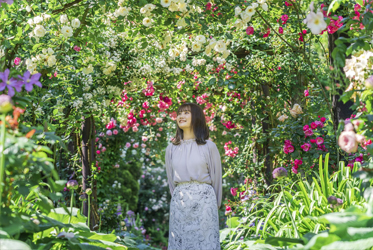 熱海玫瑰盛開中！疫情過後，重拾賞花樂趣