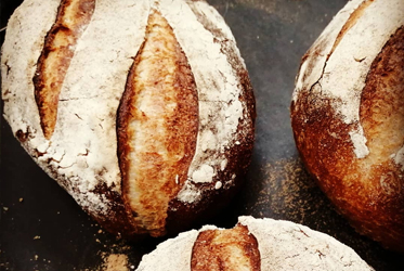 坐漁莊洋食餐廳【法式鄉村麵包】