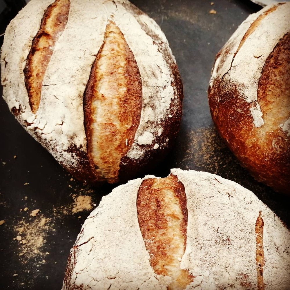 坐漁莊洋食餐廳【法式鄉村麵包】