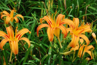 【跟著節氣過生活】