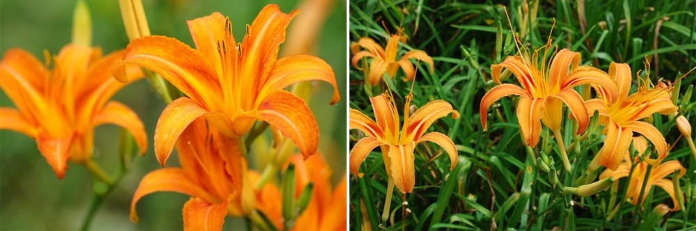 跟著節氣過生活