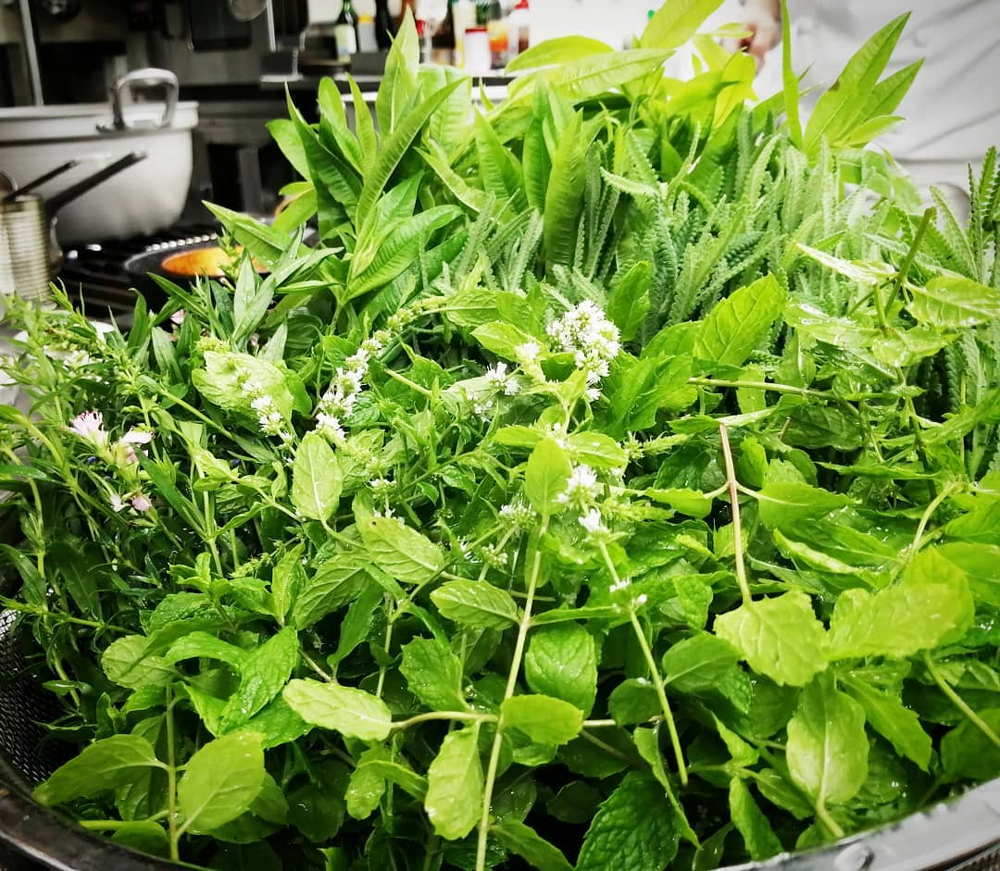 香草魔法：讓法式料理更迷人