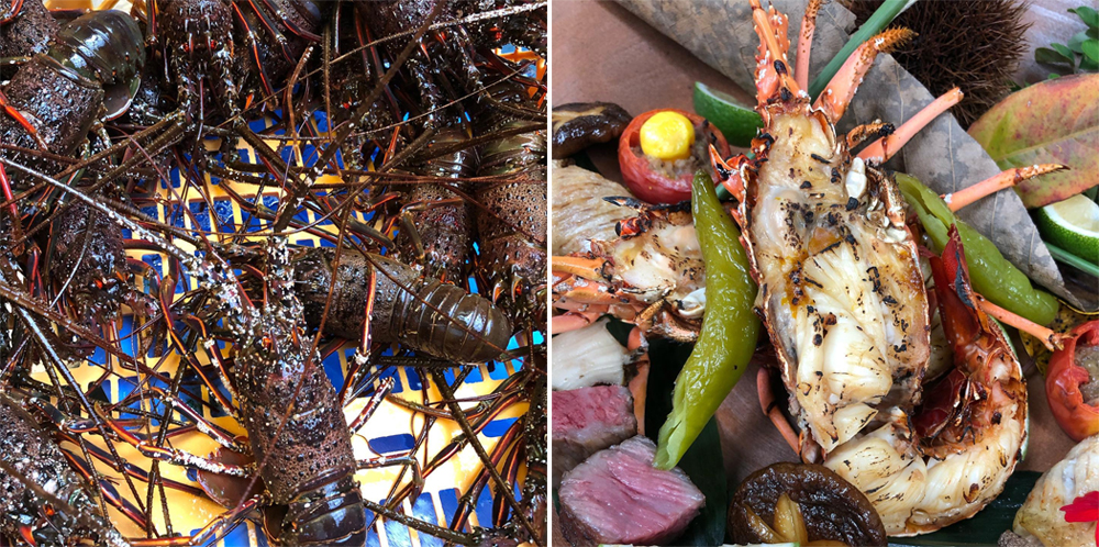 鮮活龍蝦入菜！