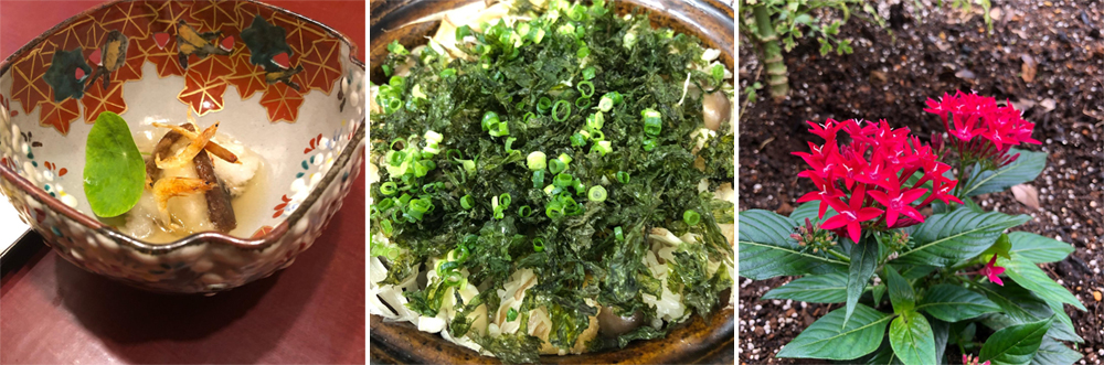 時令伊豆，味蕾之旅