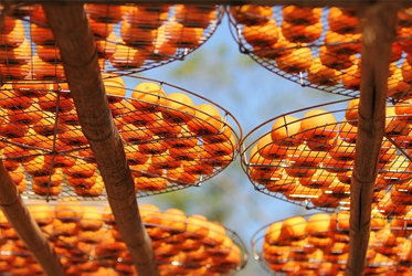 【跟著節氣過生活 霜降】