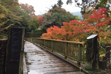 《伊豆的四季體驗》
