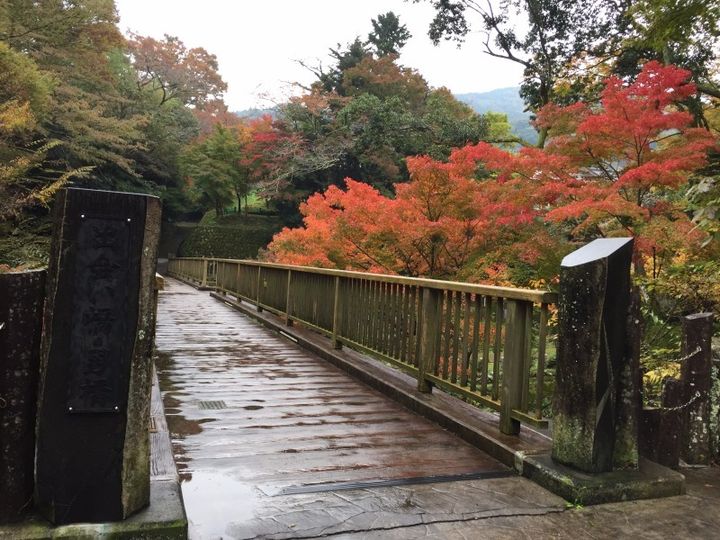 伊豆的四季體驗