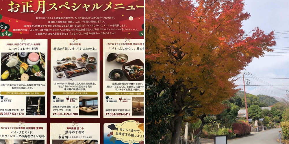 冬日限定！靜岡鮮美饗宴