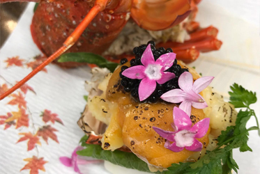 《坐漁莊的四季》