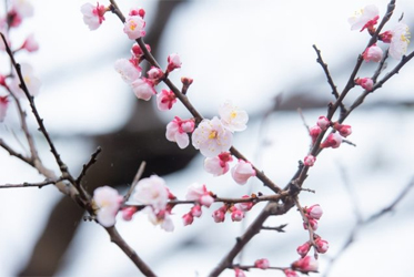 【跟著節氣過生活 雨水】