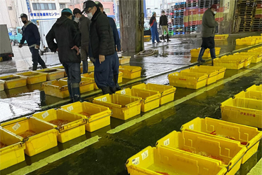 【井戶總料理長】親自嚴選！每日直送最新鮮海產