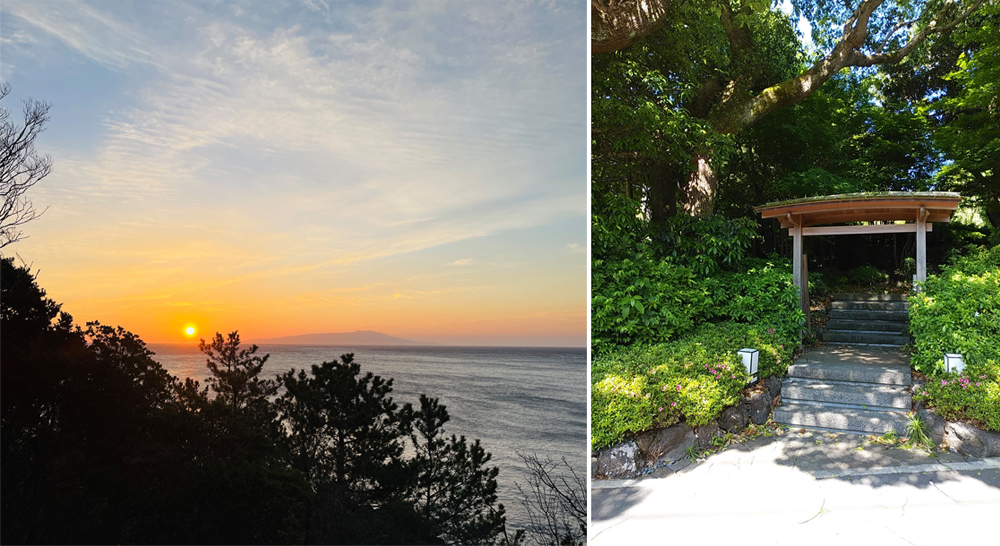 感受自然，品味生活