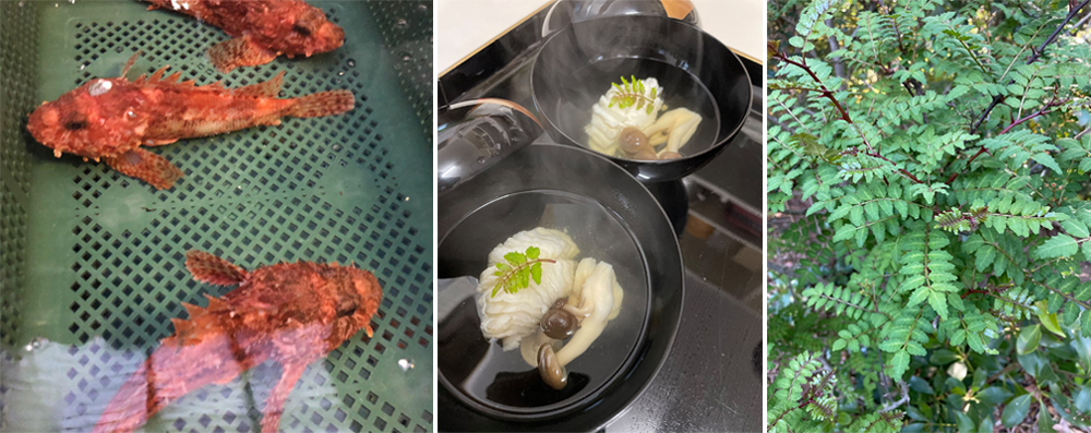 【和食餐廳的當季食材介紹】