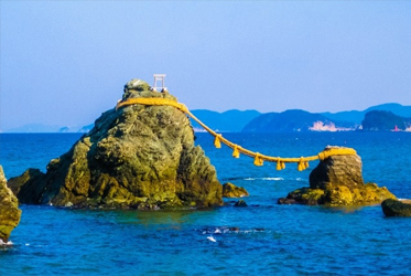 【跟著節氣過生活 夏至】