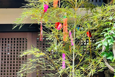 在七夕的竹子上，寫下你的心願