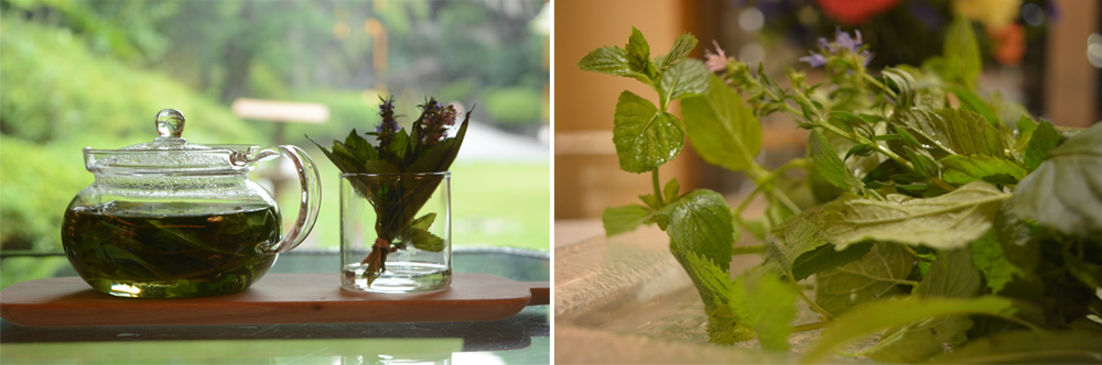 在洋食餐廳享受身心放鬆