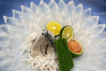 限時美味！靜岡野生虎河豚饗宴