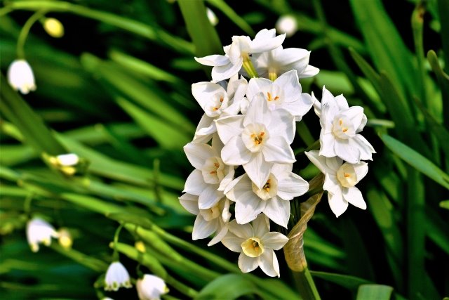 跟著節氣過生活 立冬