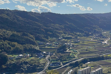 伊豆秋季的觀光名勝