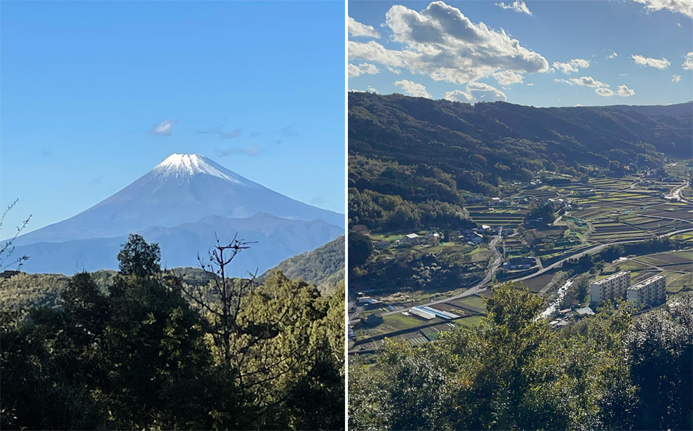 伊豆秋季的觀光名勝